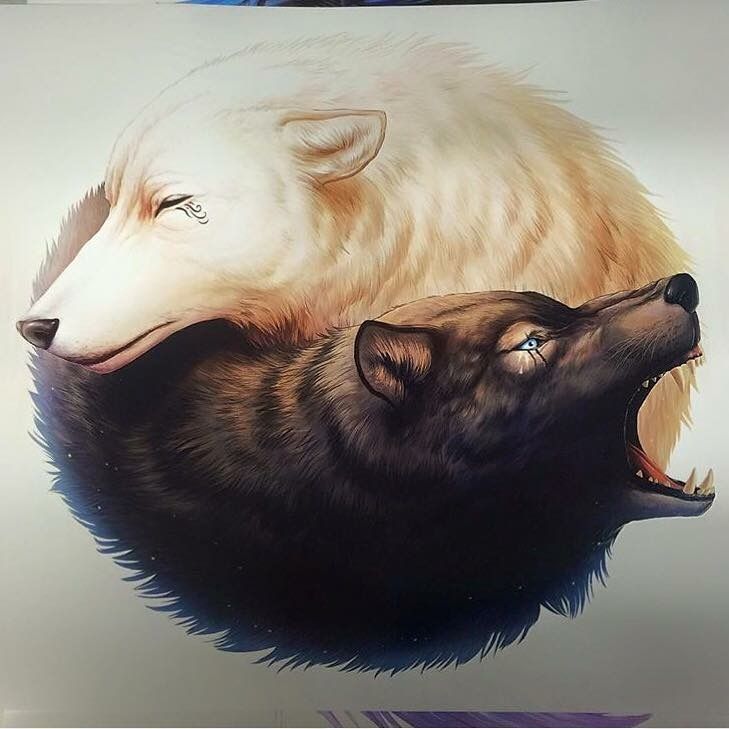 lobo yin yang