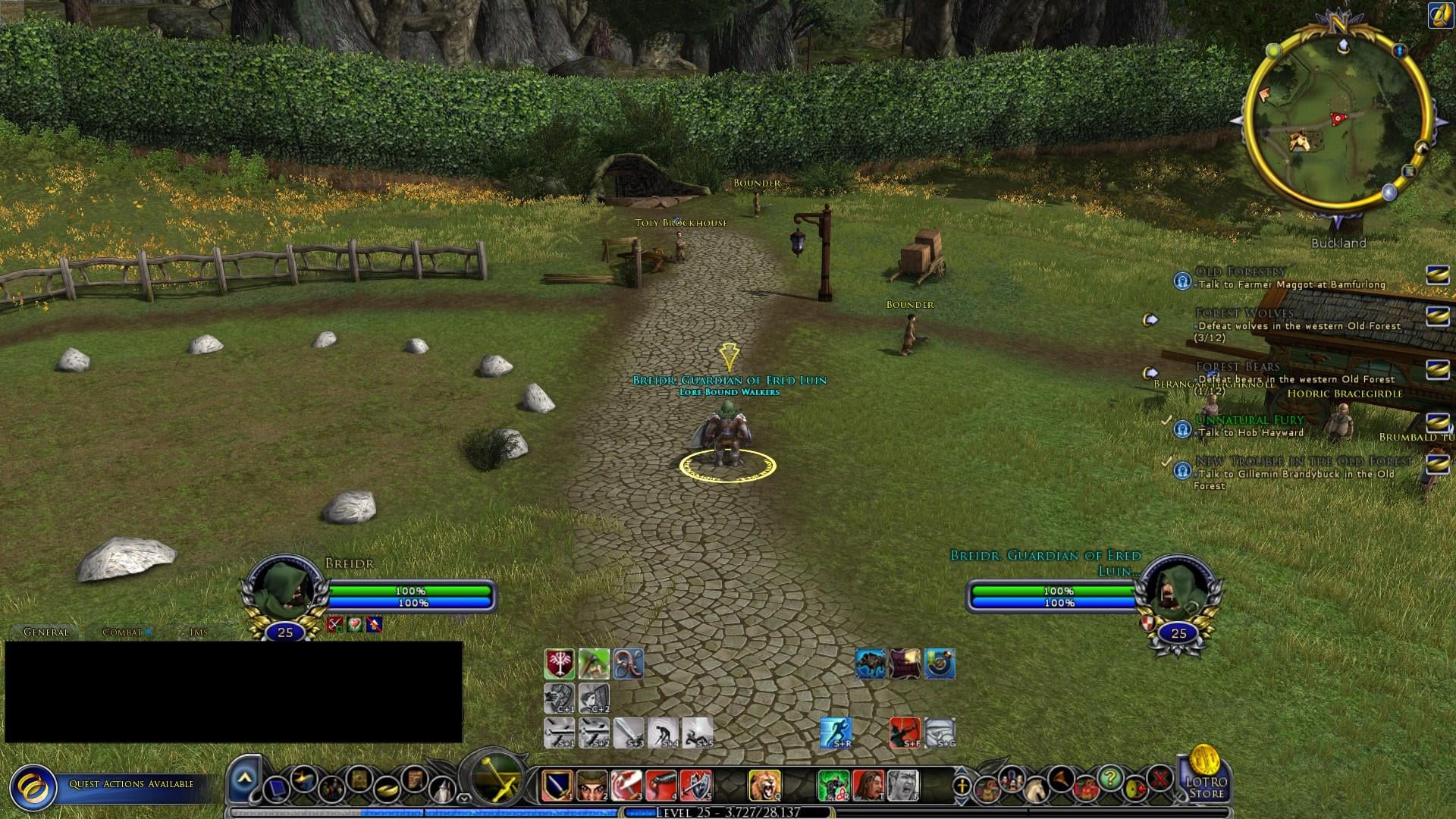 lotro interface