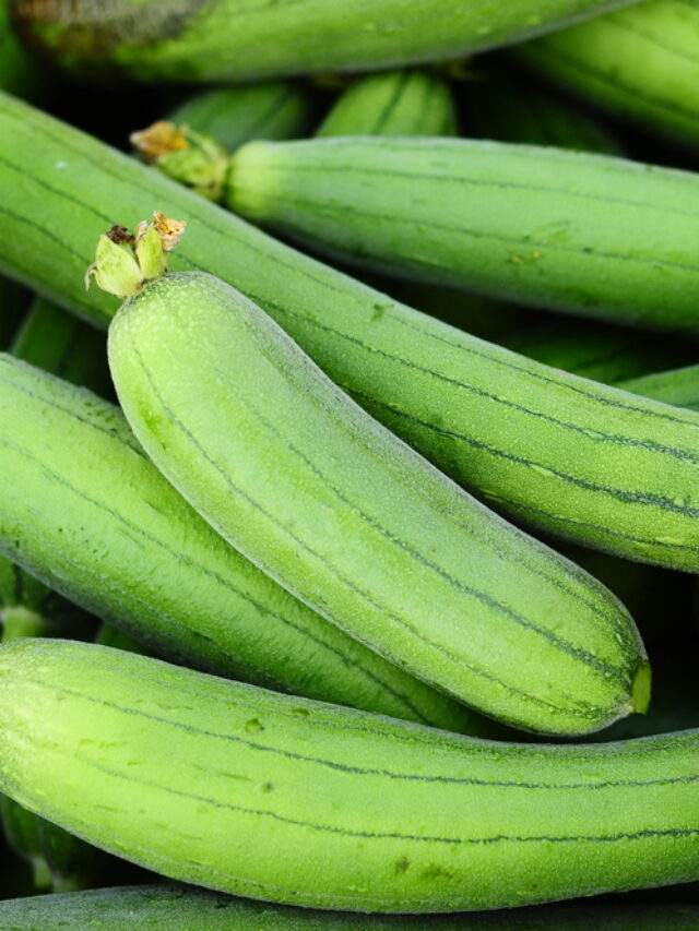 luffa vegetable in hindi