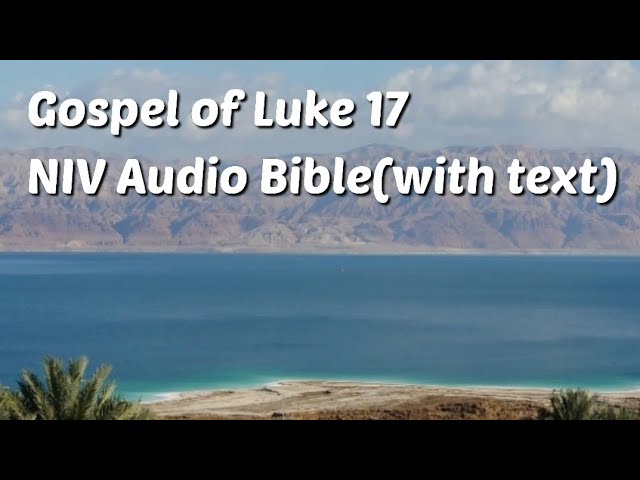 luke 13 niv audio