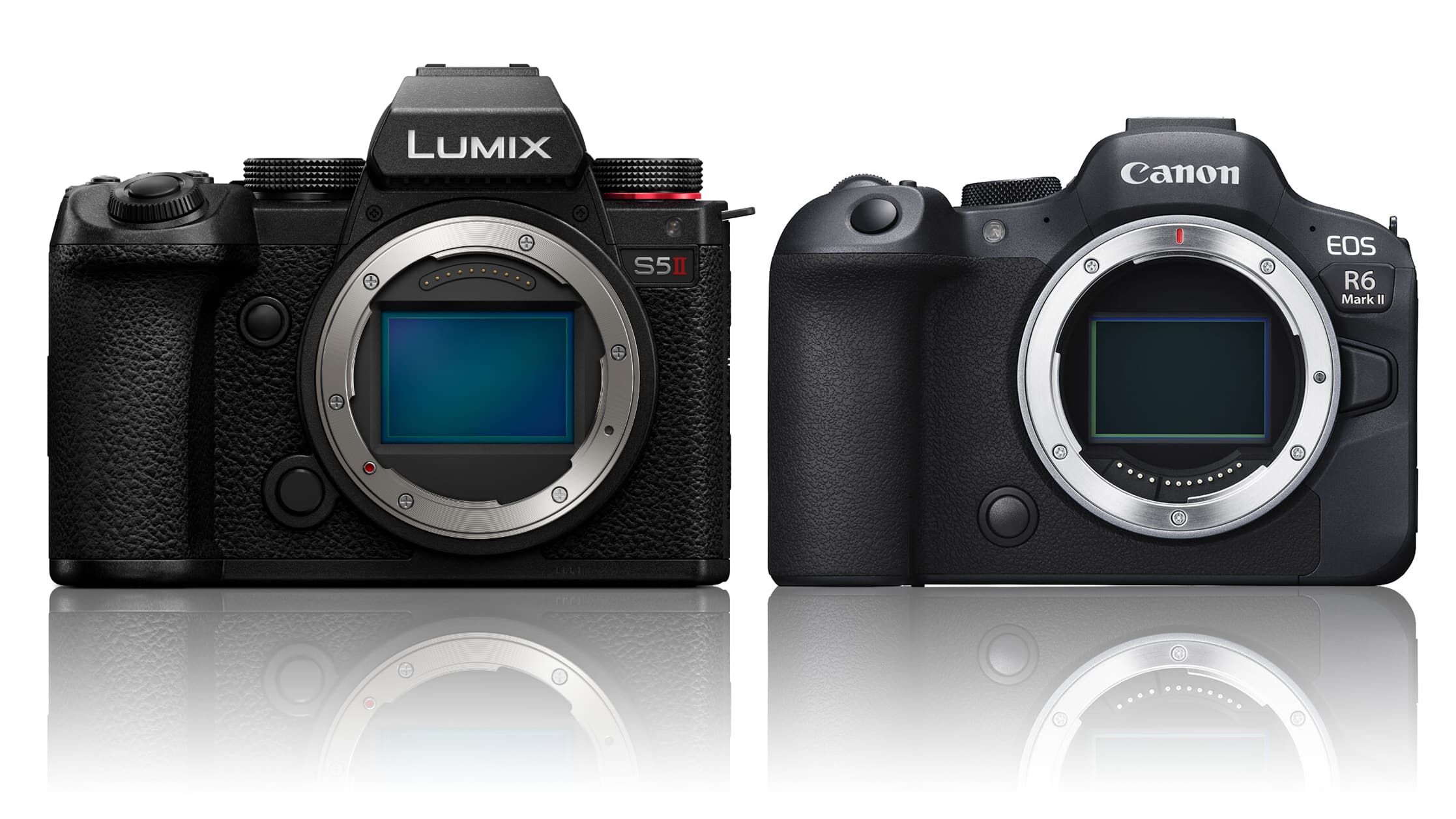 lumix or canon