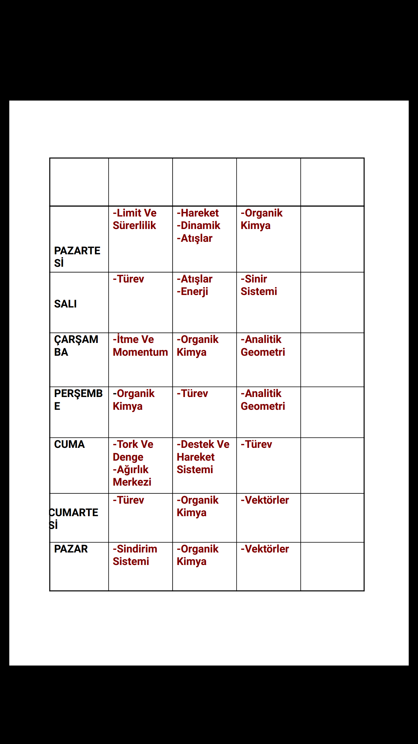 lys ders çalışma programı örnekleri