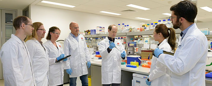 macquarie university dementia research centre