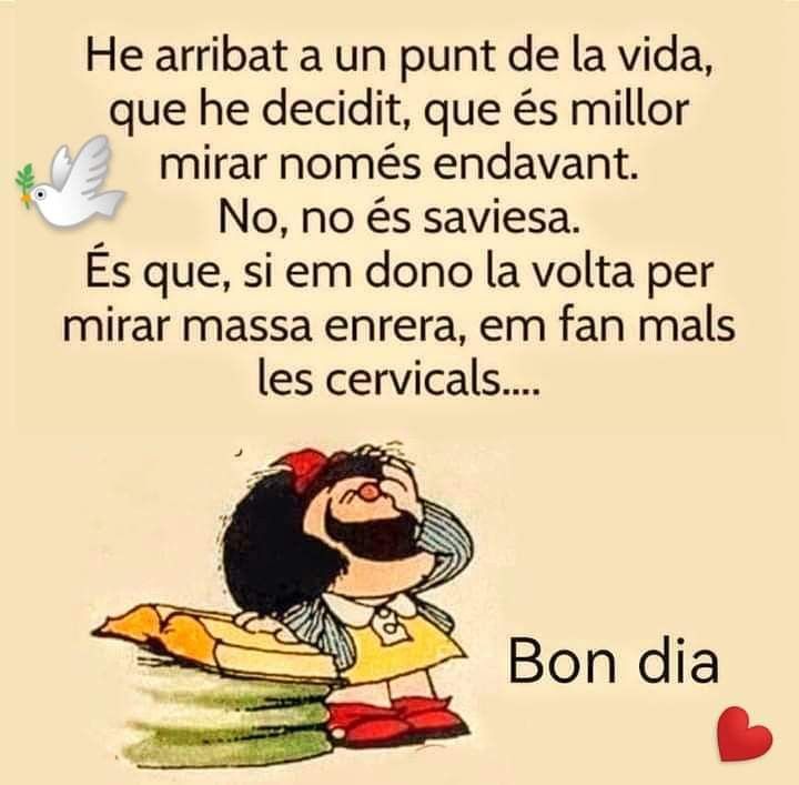 mafalda bona nit