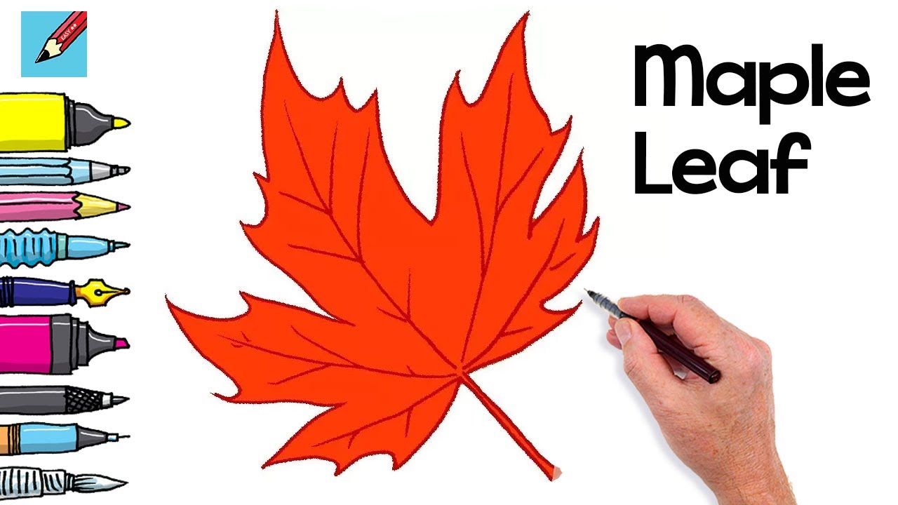 maple tree leaves drawing