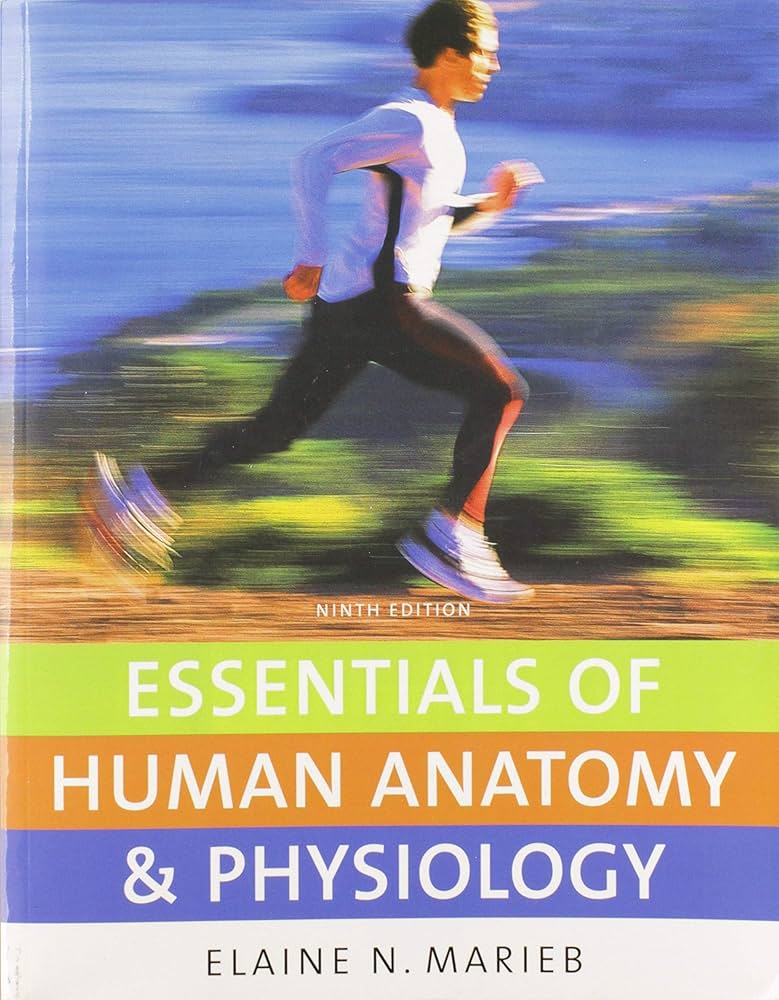 marieb essentials of human anatomy and physiology