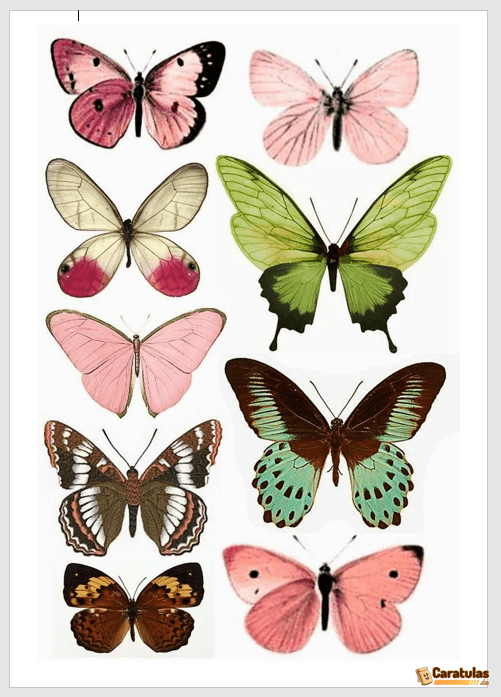 mariposas para imprimir