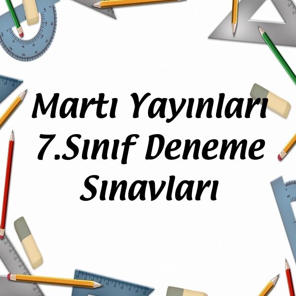 martı yayınları indir