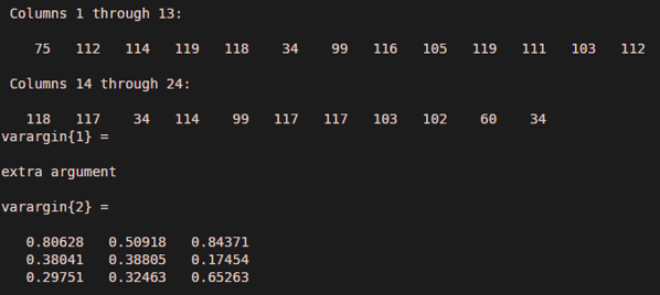 matlab varargin