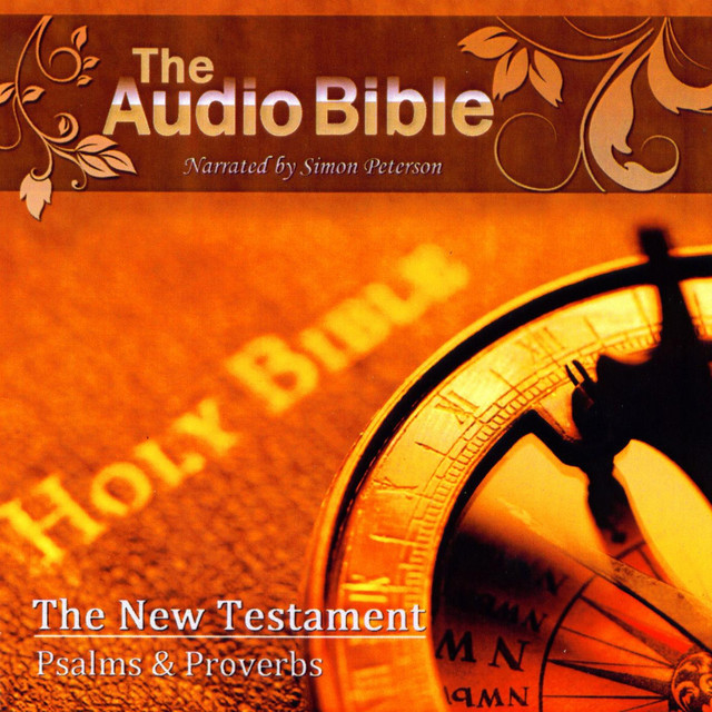 matthew audio bible