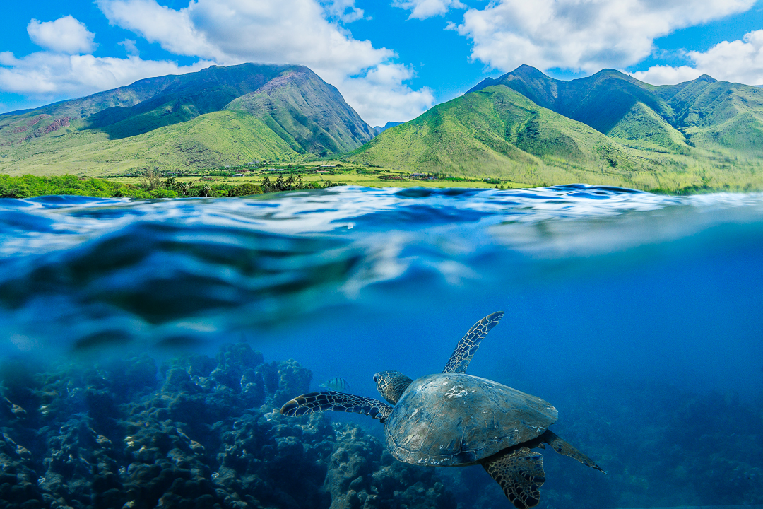 maui weather forecast 10 day