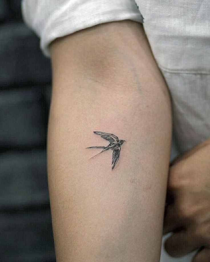 meaning of a swallow bird tattoo