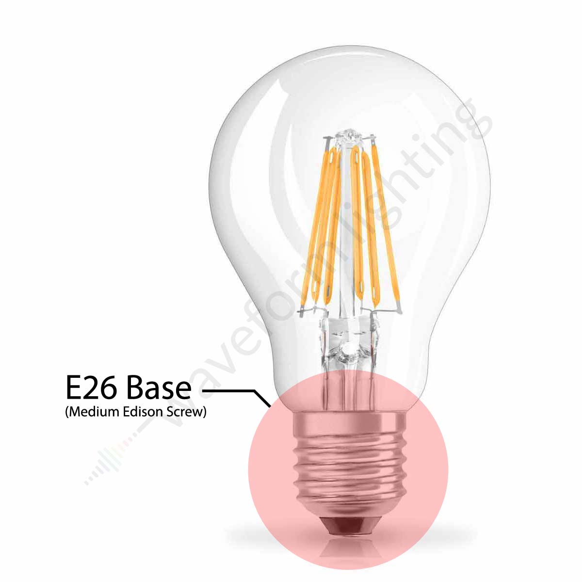 medium base bulb