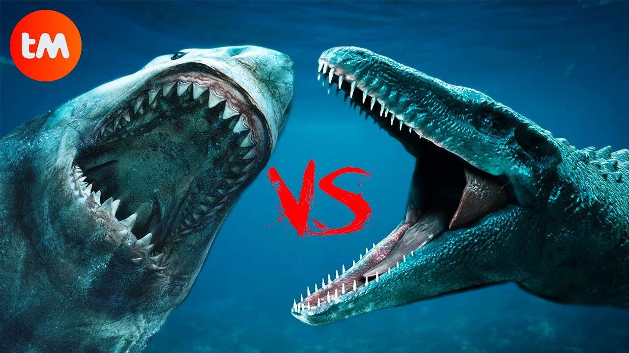 megalodon y mosasaurus