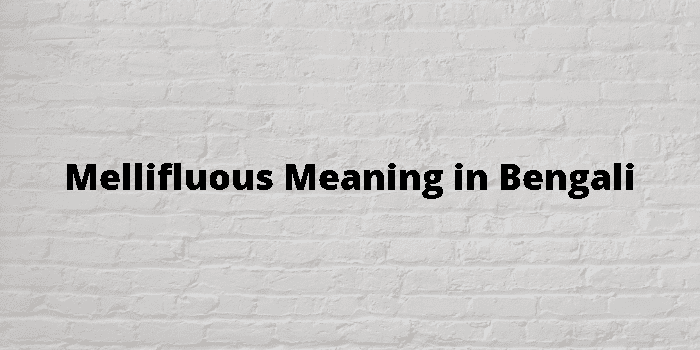 mellifluous meaning in bengali