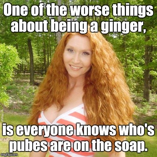 memes about gingers