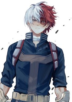 mha shoto