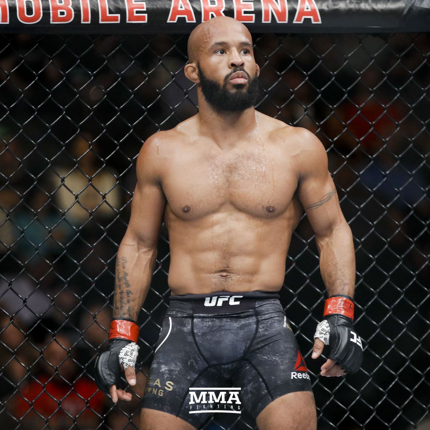 mighty mouse mma