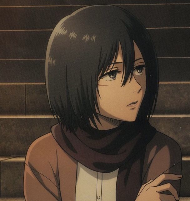 mikasa pfp