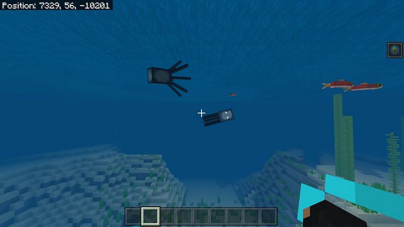 minecraft how to catch squid