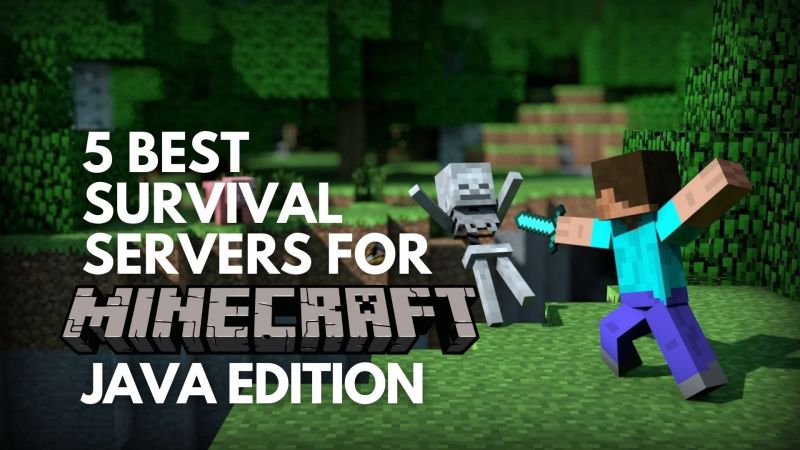 minecraft servers survival