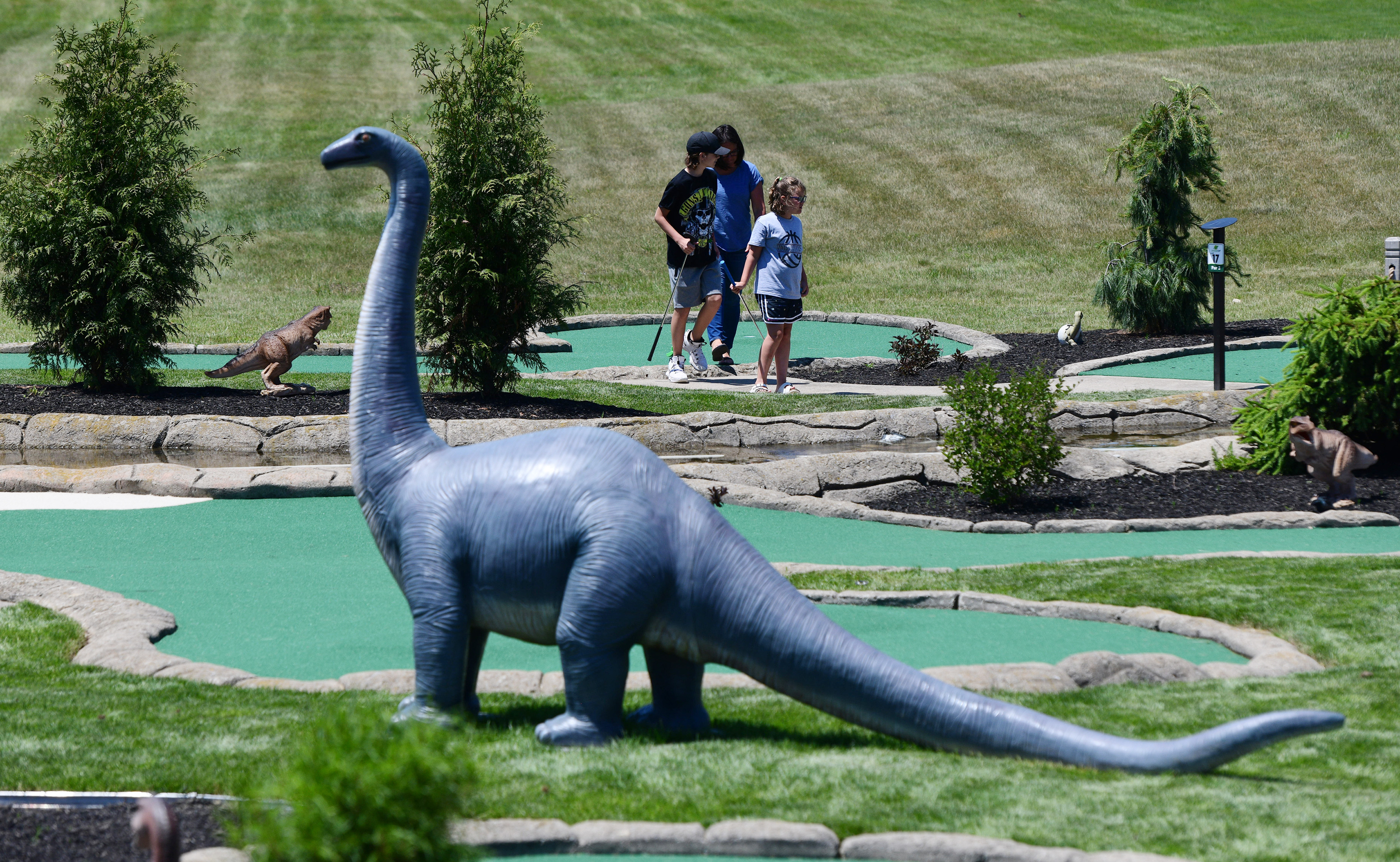 miniature golf jackson mi