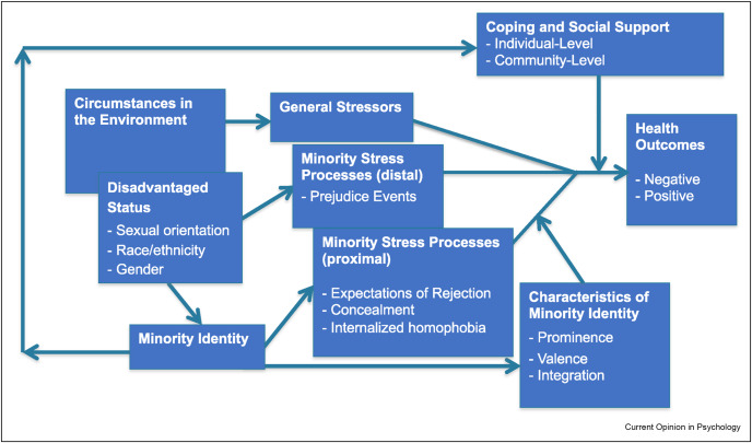 minority stress model meyer