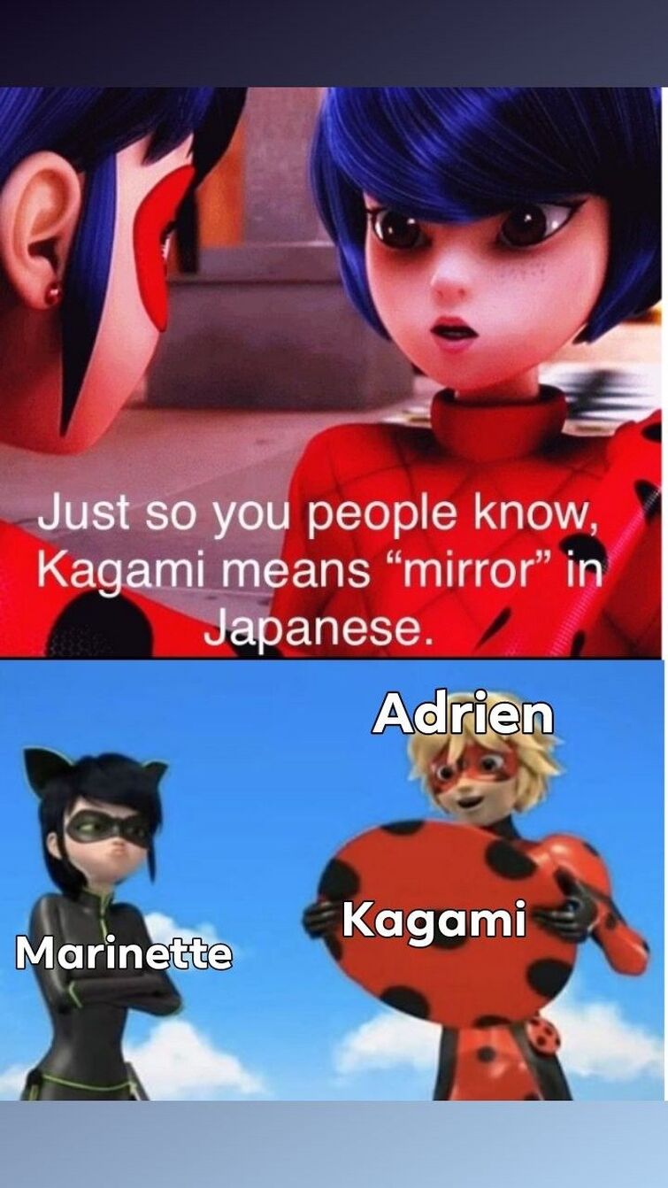 miraculous fandom memes