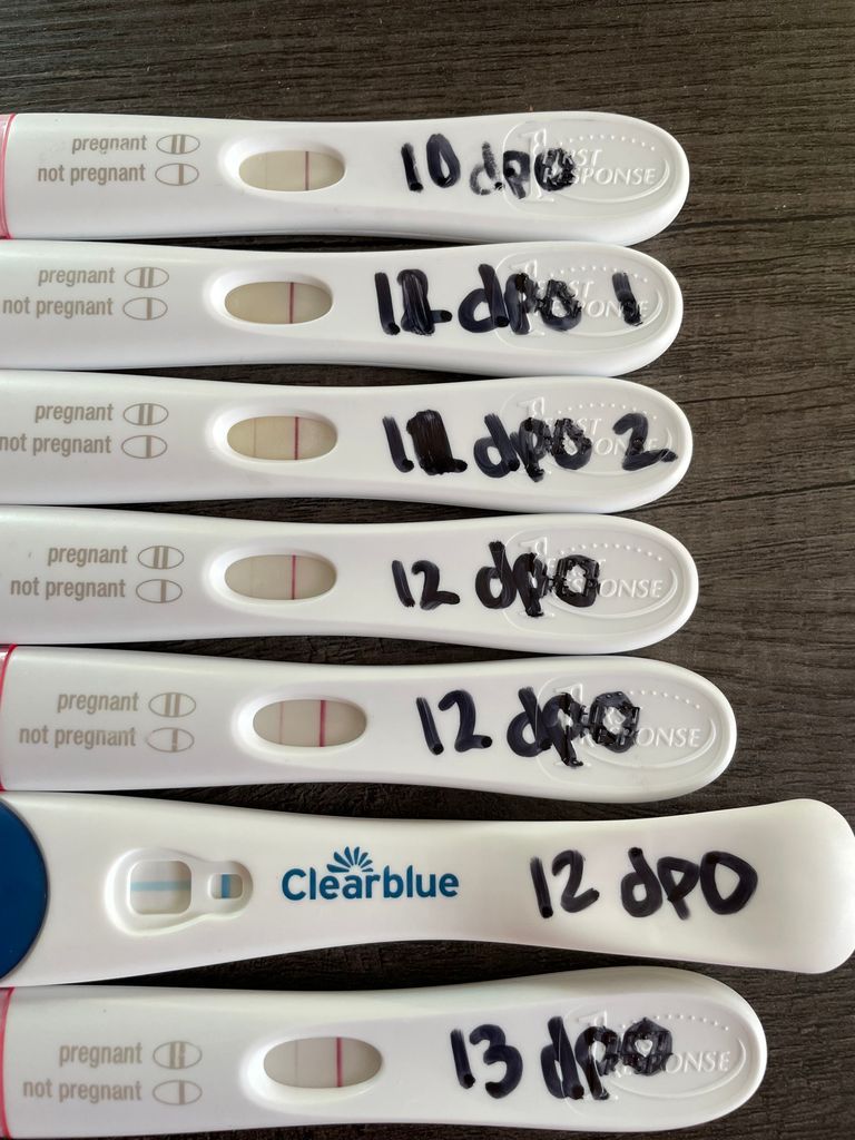 miscarriage chemical pregnancy line progression