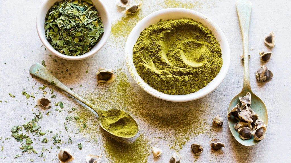 moringa leaf powder side effects