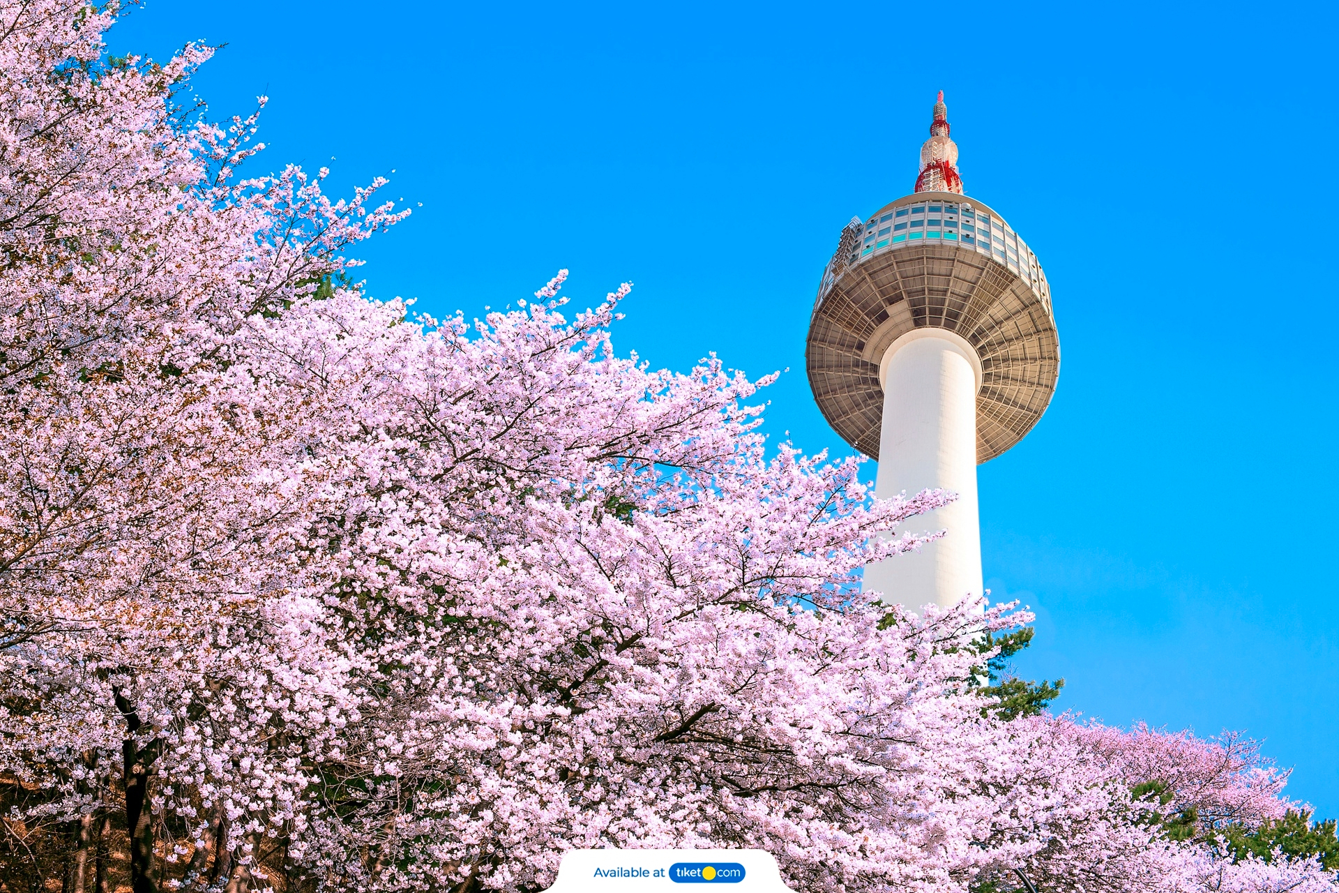 n seoul tower price