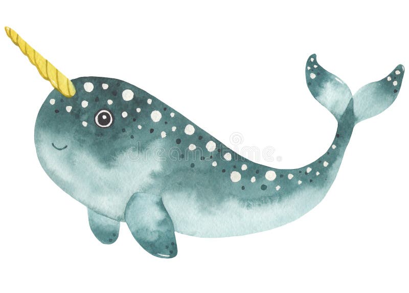 narwhal clipart