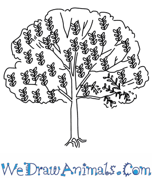 neem tree drawing easy