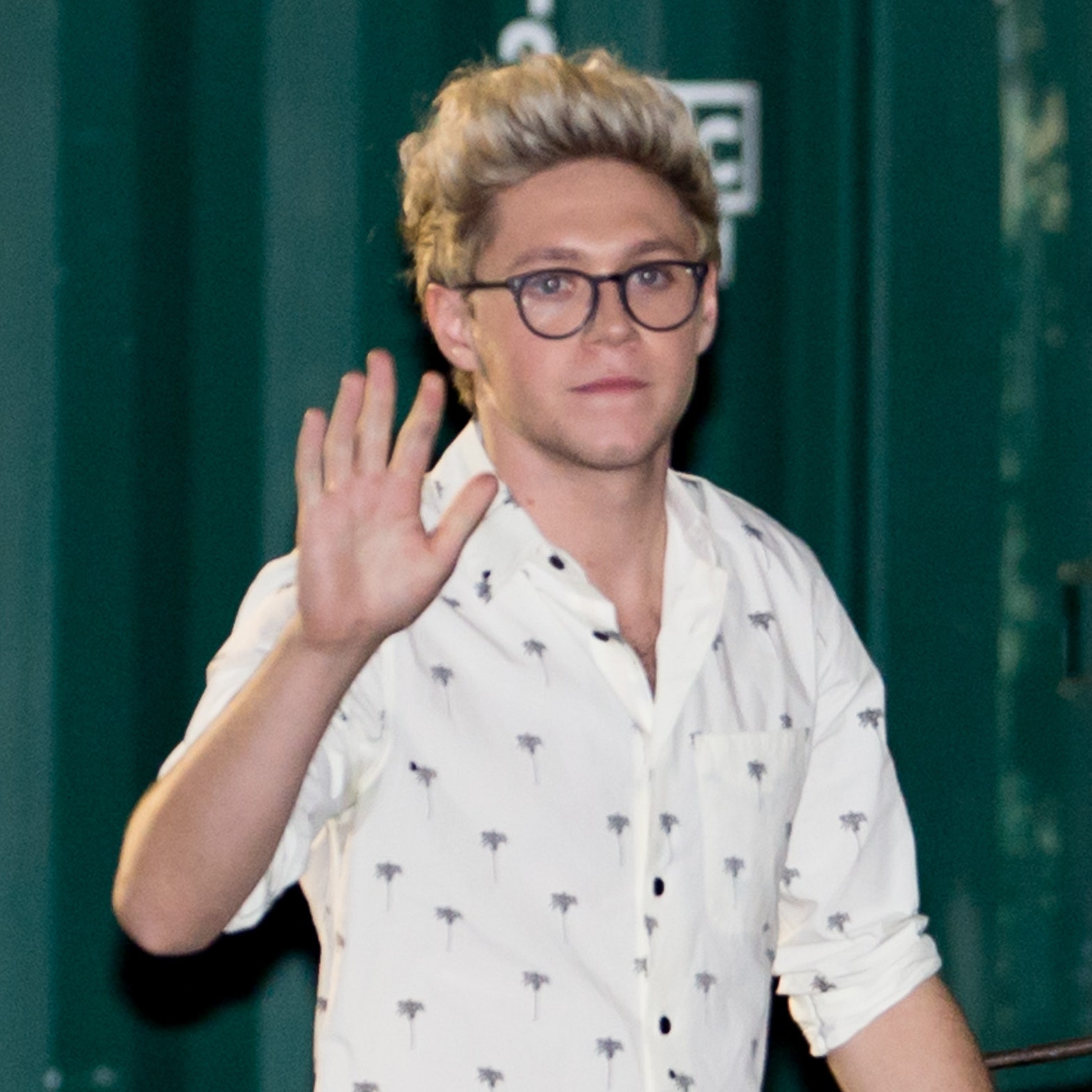 niall horan glasses