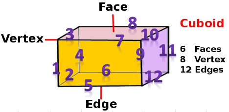 no of vertices in cuboid