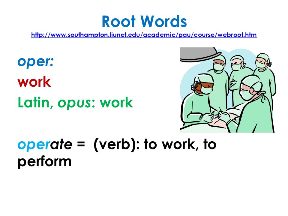 oper root word