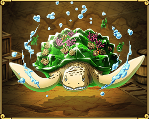 optc turtle