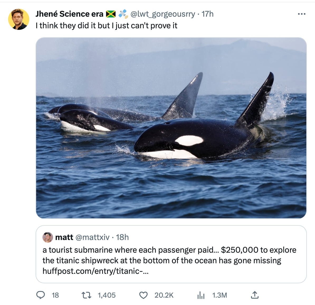 orcas and the missing submarine