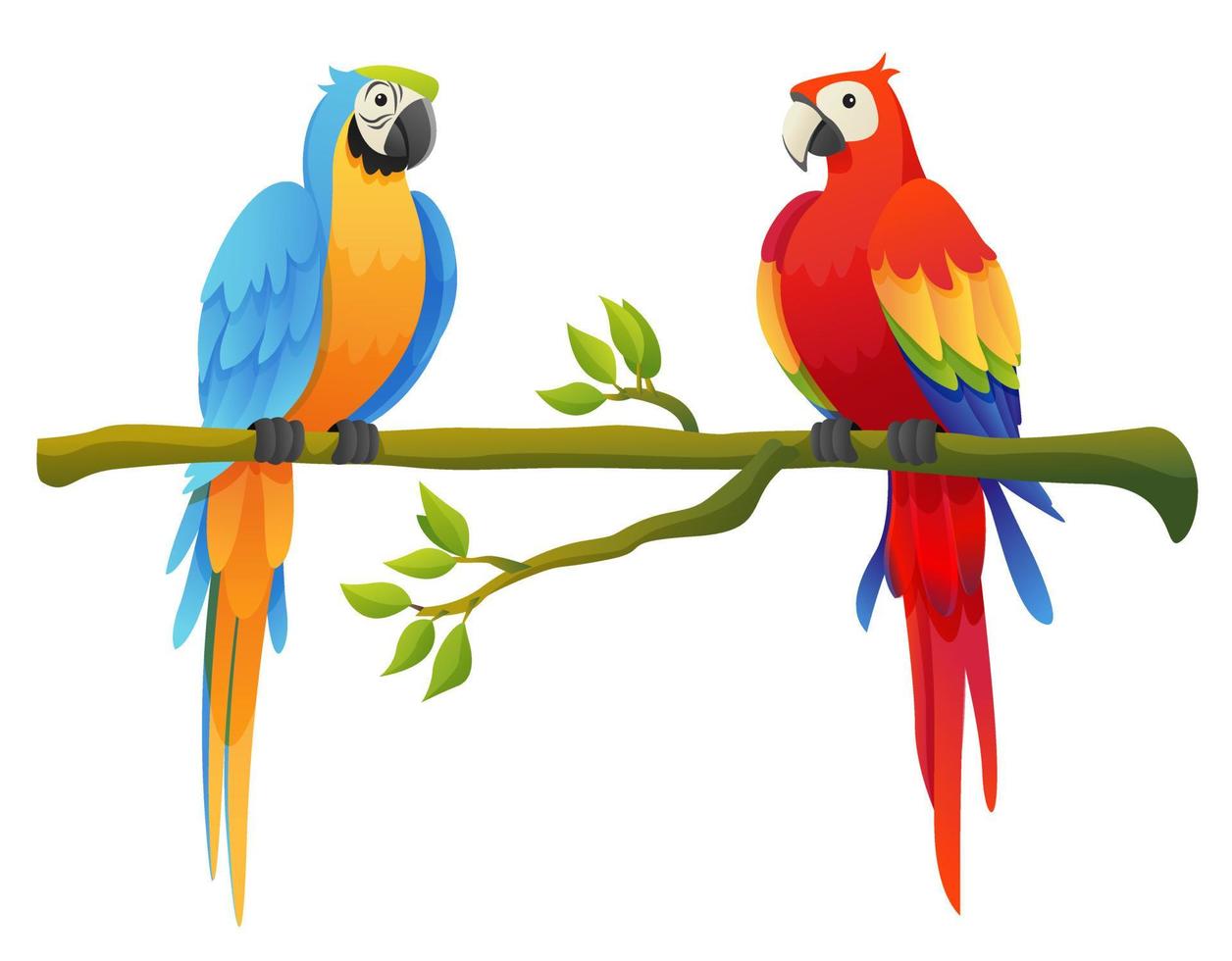 parrot vector