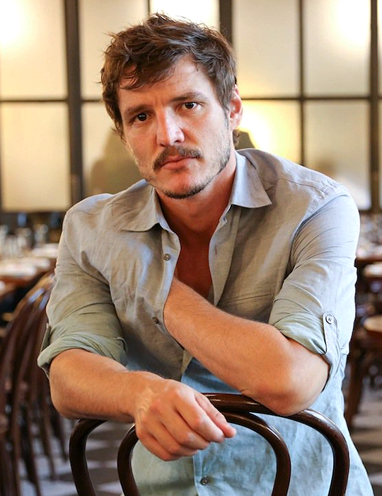 pedro pascal gay porn