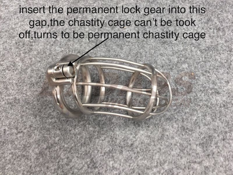 permanent chastity device