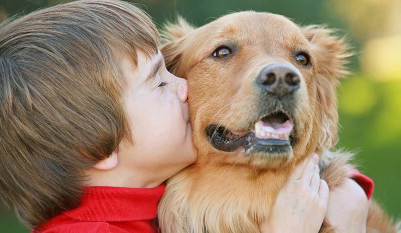 pet friendly accommodation chinchilla