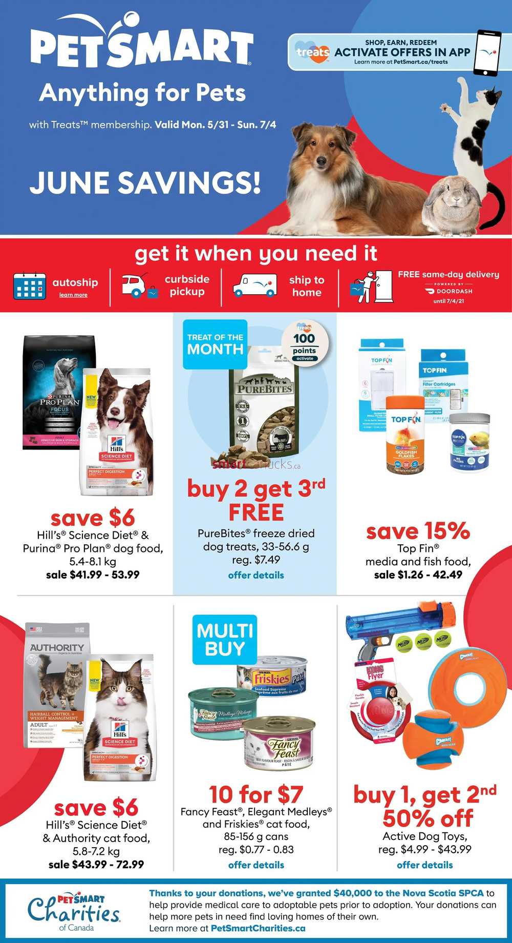 pet smart flyer