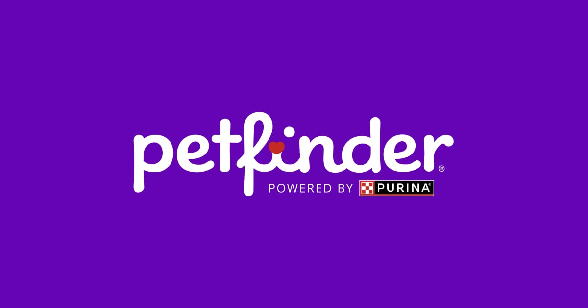 petfinder.com