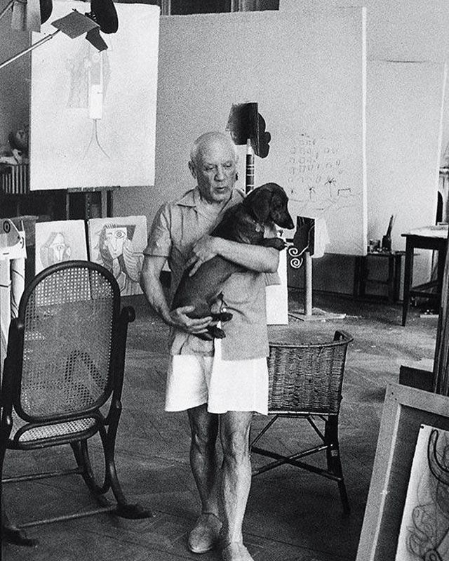 picasso and dachshund