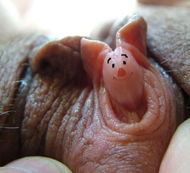 piglet porn