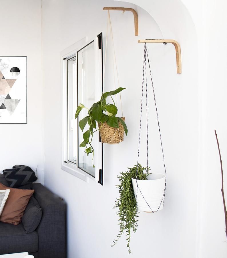 plant hanging hooks