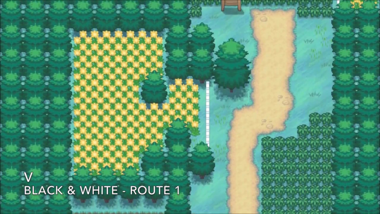 pokemon black route 1 pokemon