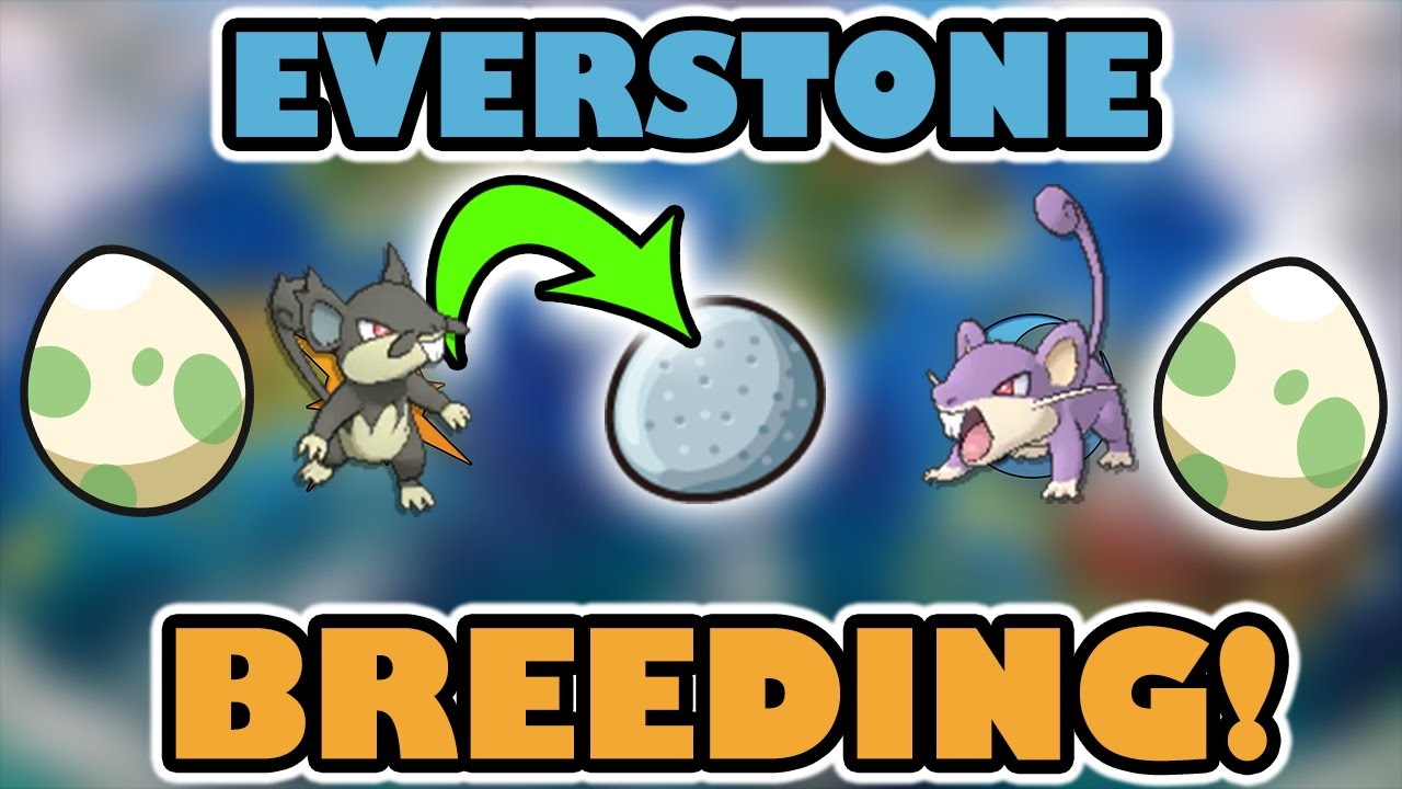 pokemon breeding everstone