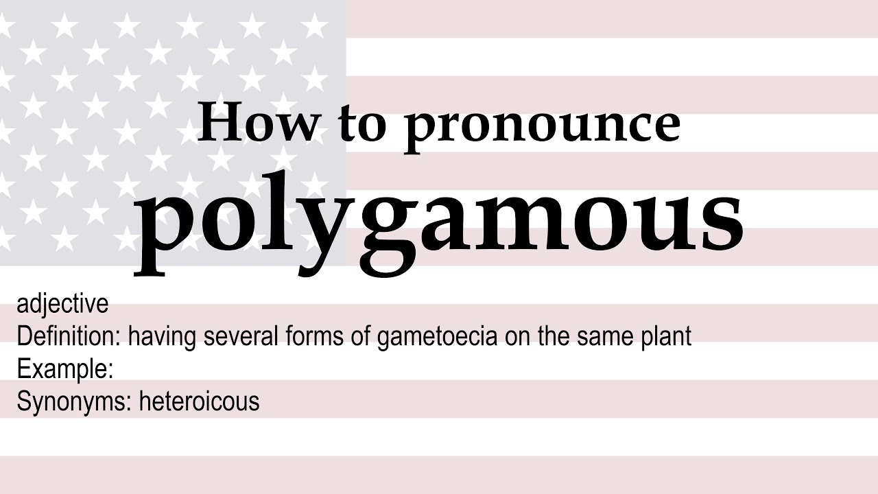 polygamous pronunciation